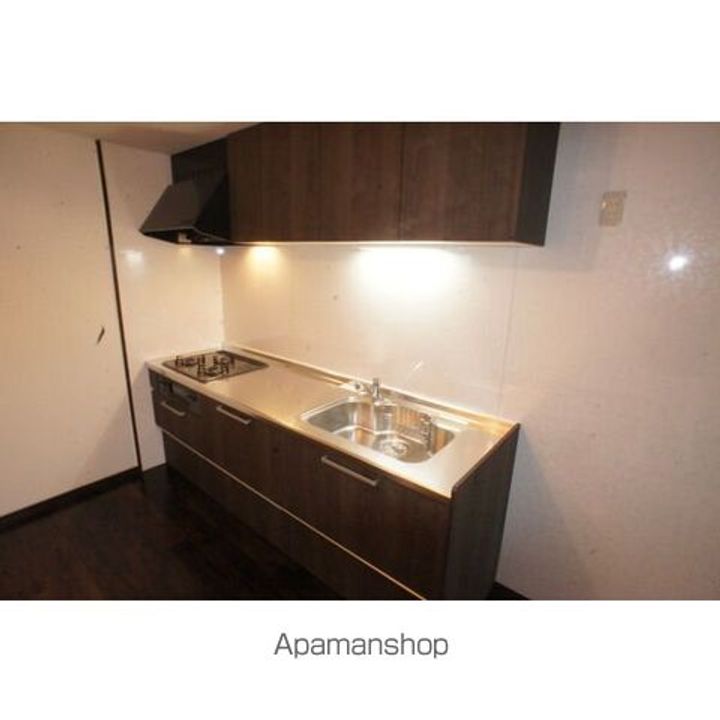 愛知県名古屋市中区金山5丁目の賃貸マンションのキッチン