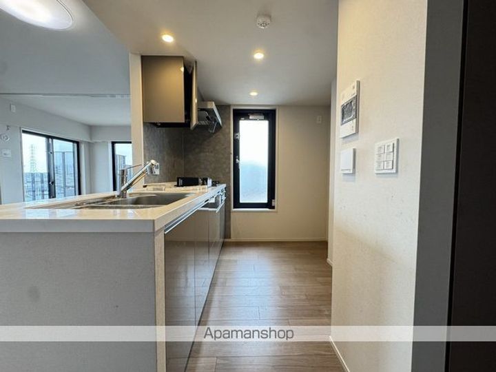 埼玉県八潮市大瀬1丁目の賃貸マンションの内装