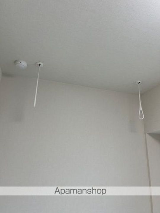 東京都中野区弥生町5丁目の賃貸マンションの内装