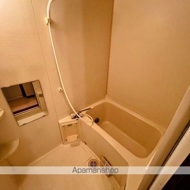 メゾンドールⅡ102の風呂