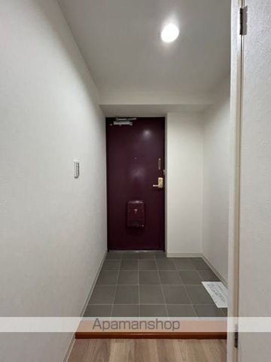 大阪府泉大津市東助松町1丁目の賃貸マンションの玄関