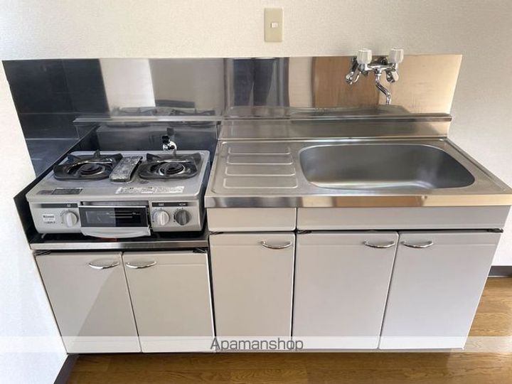 長野県松本市野溝西3丁目の賃貸アパートのキッチン