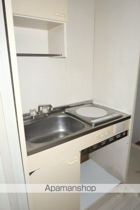 埼玉県飯能市大字岩沢の賃貸マンション104の内装