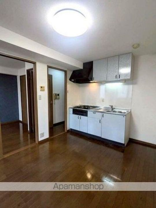 ヴィーナステージの内装