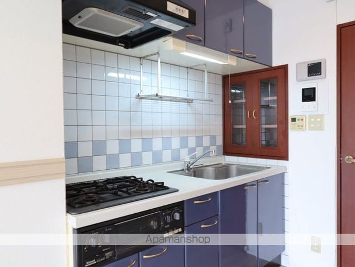 ライジング泉コート2のキッチン