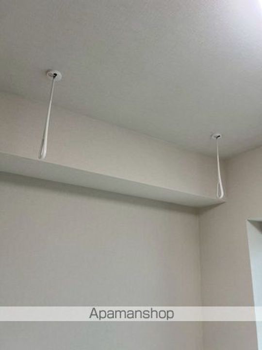 東京都中野区弥生町5丁目の賃貸マンションの内装