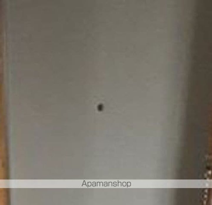 シャンハイツカジクラの内装