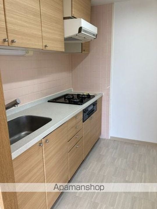 東京都日野市日野本町3丁目の賃貸マンションのキッチン