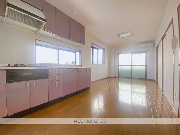 埼玉県三郷市早稲田3丁目の賃貸マンションの内装