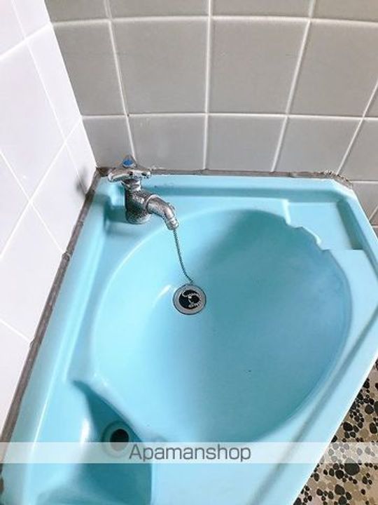 埼玉県八潮市大字大瀬の賃貸マンションのその他画像