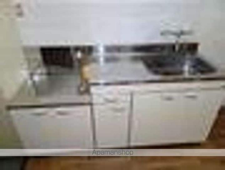 群馬県太田市龍舞町の賃貸アパートのキッチン