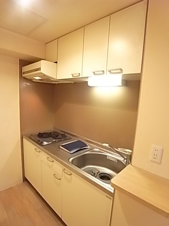 北海道札幌市中央区南一条東3丁目の賃貸マンションのキッチン