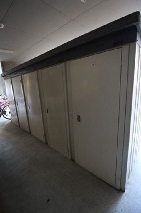 ライオンズガーデン植物園808のその他画像