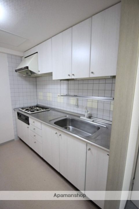 北海道札幌市中央区南一条西18丁目の賃貸マンションのキッチン