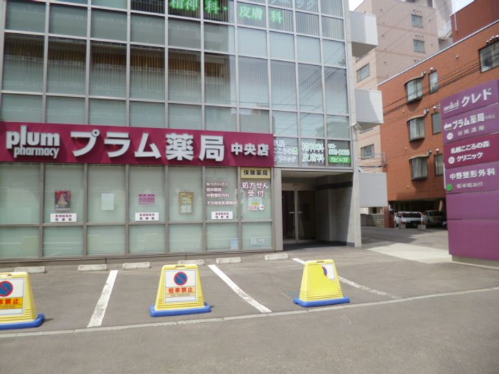 北海道札幌市中央区南六条西20丁目の賃貸マンションの周辺