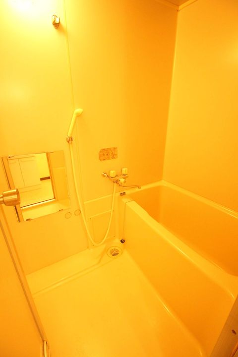 コーポ佐野富月寒東205の風呂