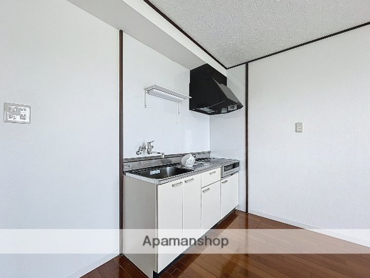 メゾン小林301のキッチン