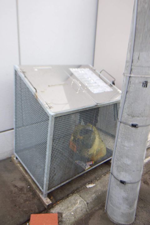 コートS&R407のその他画像