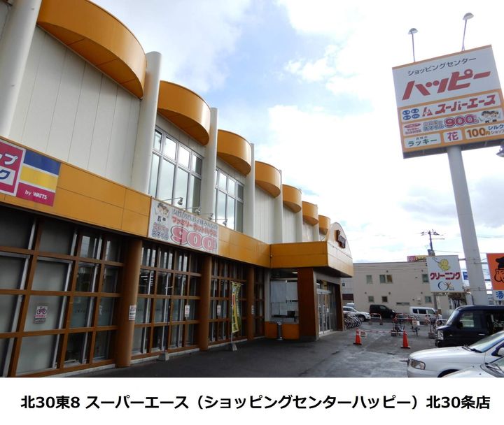 テレパレス北栄30条の周辺