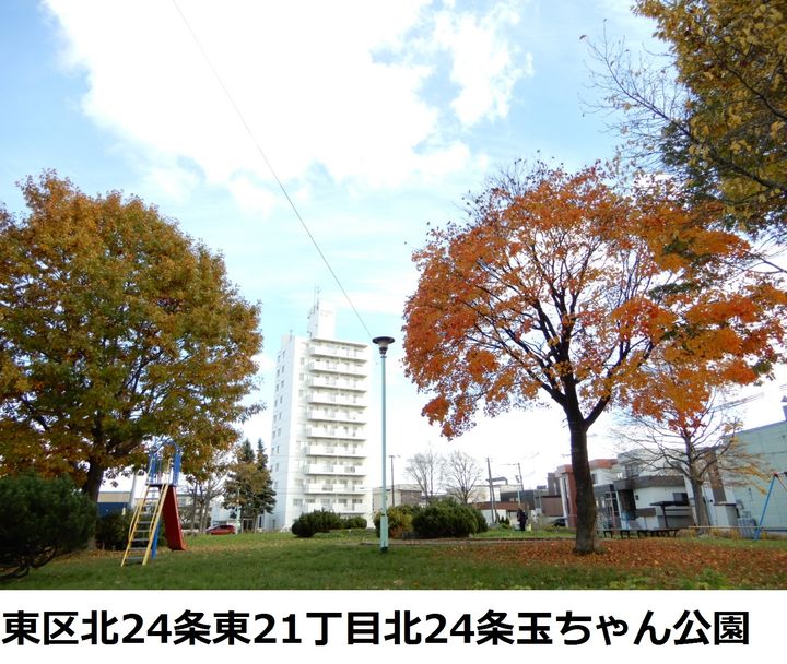 レスポール205の周辺