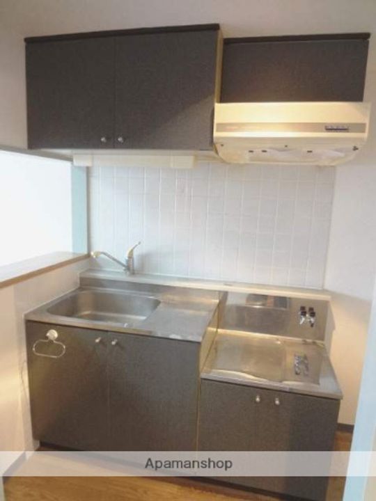 北海道札幌市東区北十二条東10丁目の賃貸マンションのキッチン