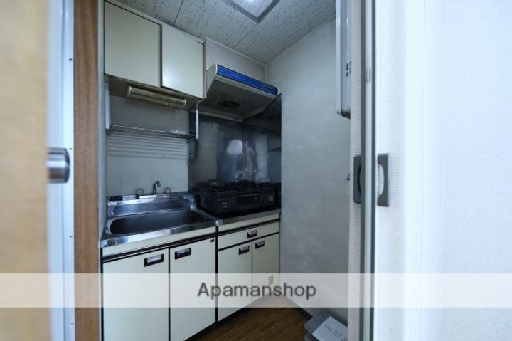 北海道札幌市東区北九条東2丁目の賃貸マンションのキッチン