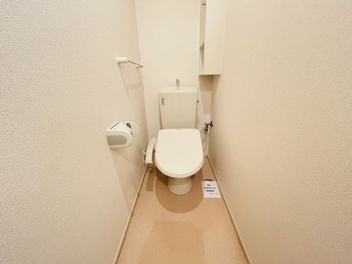 プレアデスのその他画像