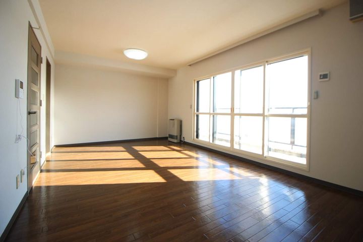 北海道札幌市東区北二十条東8丁目の賃貸マンションの居間