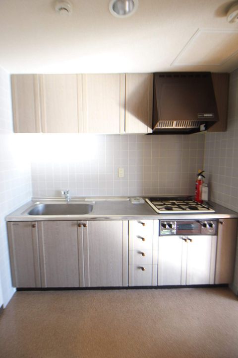 北海道札幌市東区北二十条東8丁目の賃貸マンションのキッチン