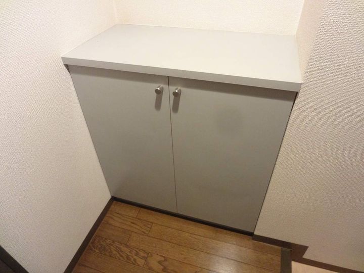 北海道札幌市東区伏古八条3丁目の賃貸マンションの内装