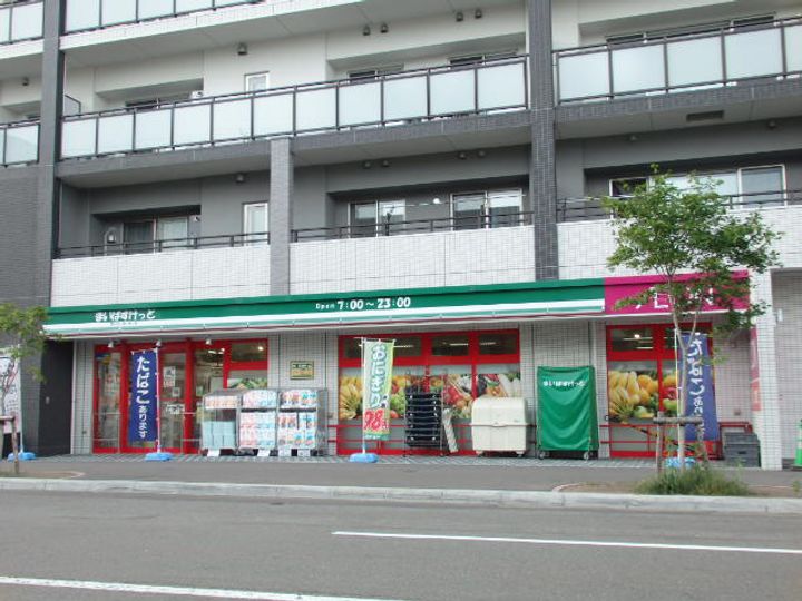 クリーンリバーフィネス札幌ミッドステージ サウスの周辺