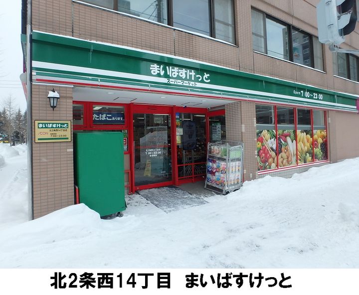 北海道札幌市中央区北四条西12丁目の賃貸マンションの周辺