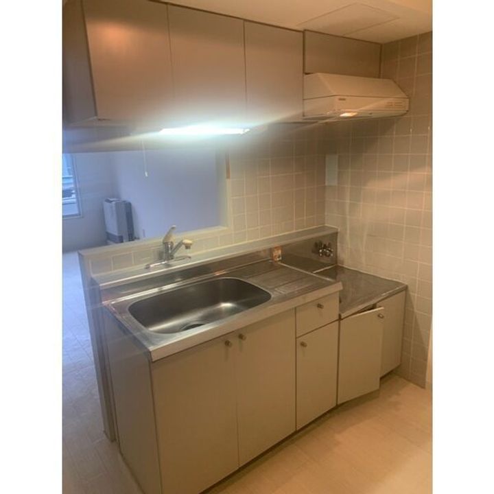 リーガネックスN11108のキッチン