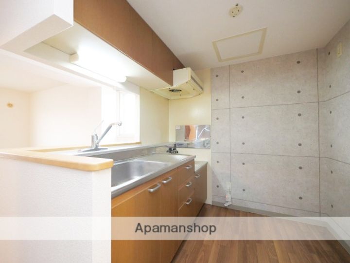 北海道札幌市北区百合が原4丁目の賃貸マンションのキッチン