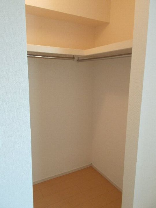 プレアデスのその他画像