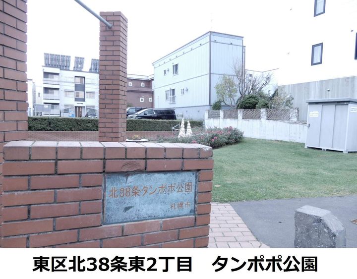 プレアデスの周辺