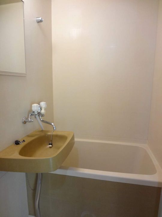 ソルテリア元町00302の風呂