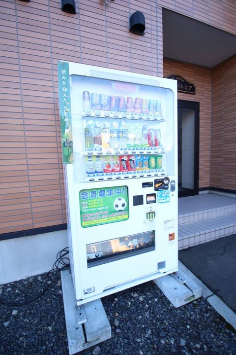 エストパトリアのその他画像