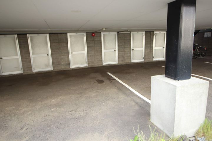 プロスペリティ30305のその他画像