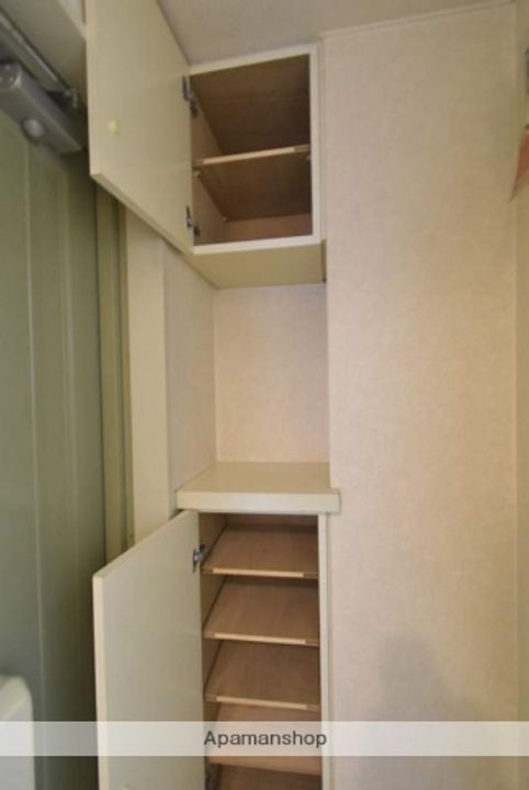 北海道札幌市豊平区美園五条2丁目の賃貸マンションの内装