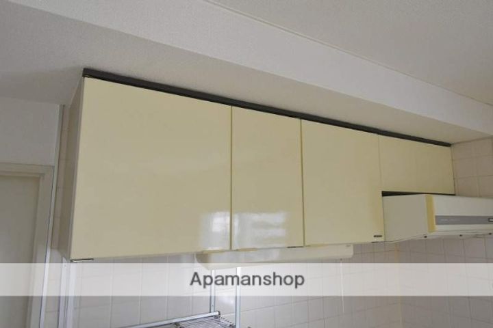 北海道札幌市豊平区美園五条2丁目の賃貸マンションの内装