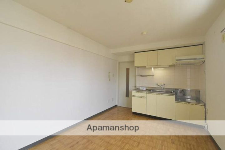 北海道札幌市豊平区美園五条2丁目の賃貸マンションの内装