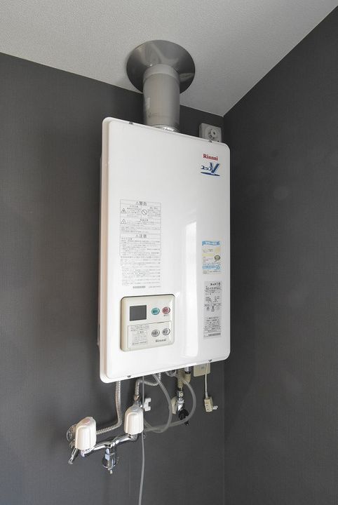 北海道札幌市豊平区美園十条7丁目の賃貸マンションの内装