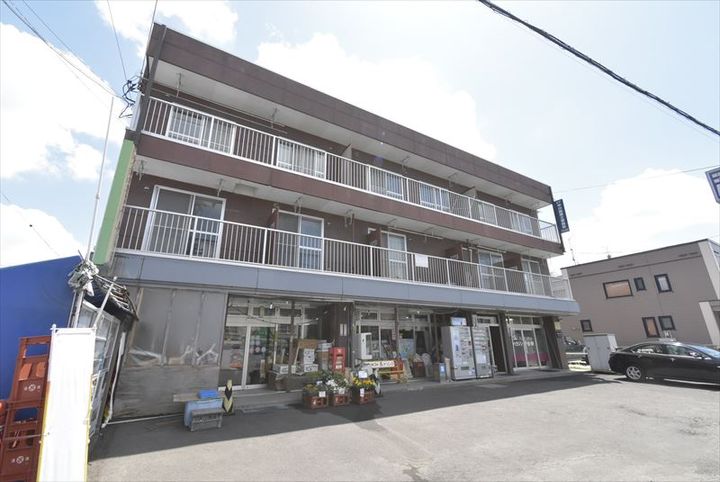 SKコスモビル305の外観