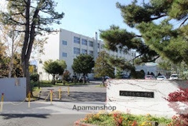 北海道札幌市豊平区平岸一条1丁目の賃貸アパートの周辺