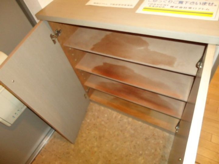 ステージア月寒0101の玄関