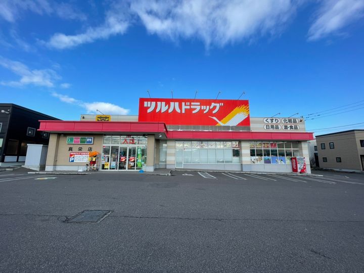 トロピカルハイツ清田101の周辺