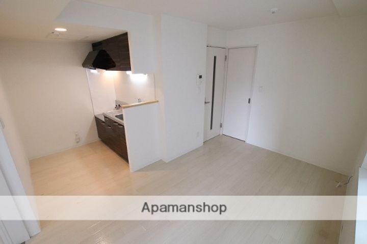 北海道札幌市豊平区豊平三条9丁目の賃貸マンションの内装