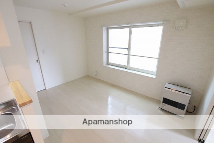 北海道札幌市豊平区豊平三条9丁目の賃貸マンションの内装