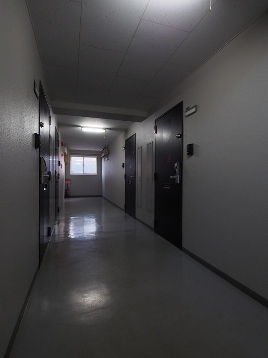 ロイヤルウェイブ401のその他画像